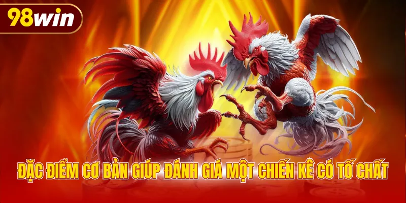 Đặc điểm cơ bản giúp đánh giá một chiến kê có tố chất