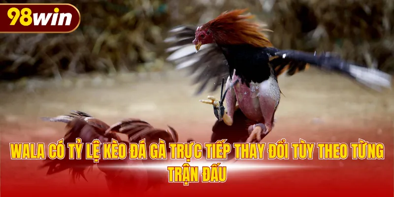Wala có tỷ lệ kèo đá gà trực tiếp thay đổi tùy theo từng trận đấu